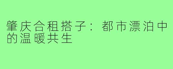 肇庆合租搭子:都市漂泊中的温暖共生