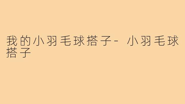 我的小羽毛球搭子-小羽毛球搭子