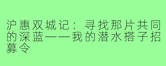 沪惠双城记：寻找那片共同的深蓝——我的潜水搭子招募令