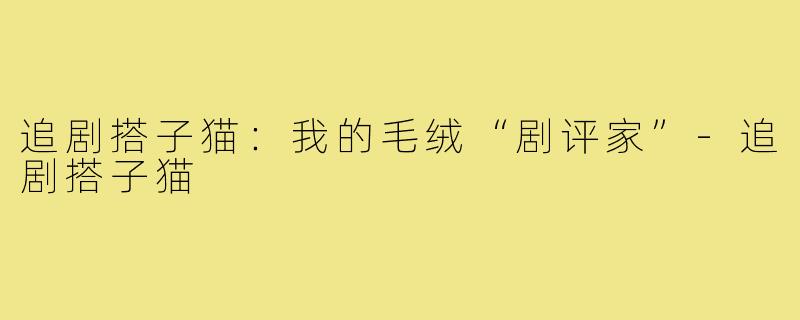 追剧搭子猫：我的毛绒“剧评家”-追剧搭子猫