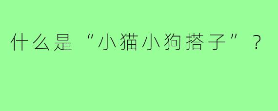 什么是“小猫小狗搭子”？