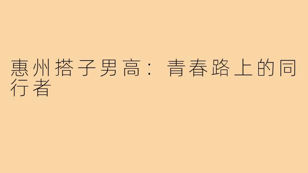 惠州搭子男高：青春路上的同行者