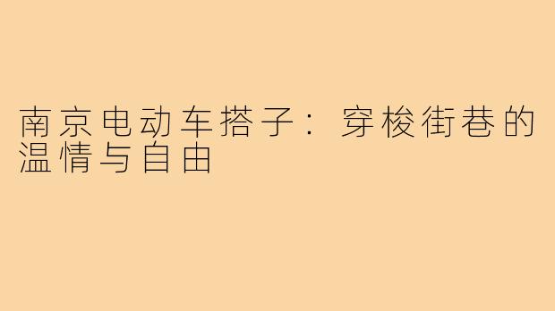 南京电动车搭子：穿梭街巷的温情与自由