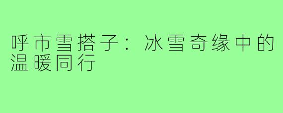 呼市雪搭子:冰雪奇缘中的温暖同行