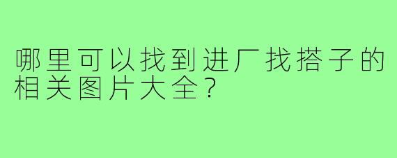 哪里可以找到进厂找搭子的相关图片大全？