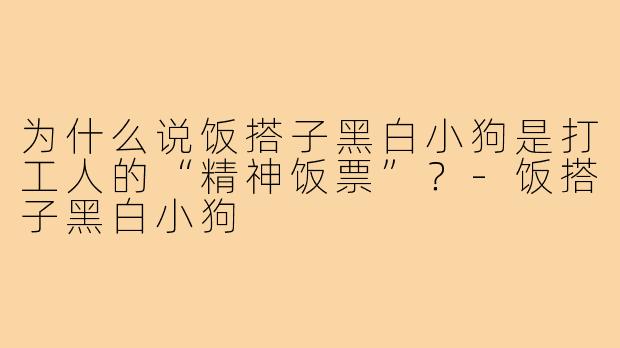 为什么说饭搭子黑白小狗是打工人的“精神饭票”？-饭搭子黑白小狗