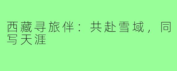 西藏寻旅伴：共赴雪域，同写天涯