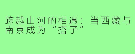 跨越山河的相遇：当西藏与南京成为“搭子”