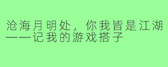 沧海月明处，你我皆是江湖——记我的游戏搭子