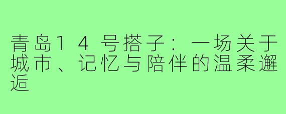 青岛14号搭子:一场关于城市、记忆与陪伴的温柔邂逅