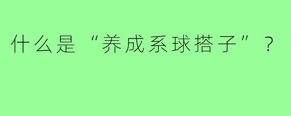 什么是“养成系球搭子”？