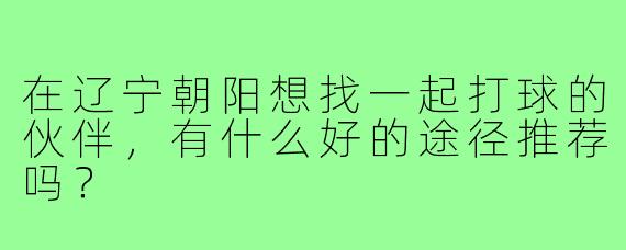 在辽宁朝阳想找一起打球的伙伴，有什么好的途径推荐吗？