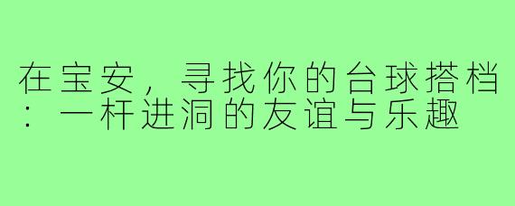 在宝安，寻找你的台球搭档：一杆进洞的友谊与乐趣