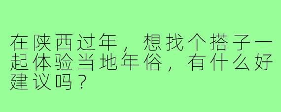 在陕西过年，想找个搭子一起体验当地年俗，有什么好建议吗？