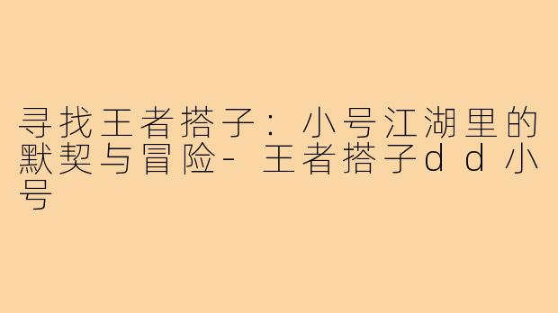 寻找王者搭子：小号江湖里的默契与冒险-王者搭子dd小号