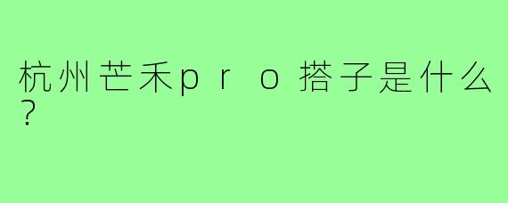 杭州芒禾pro搭子是什么?