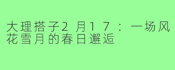 大理搭子2月17：一场风花雪月的春日邂逅