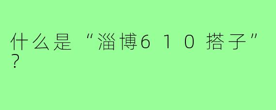 什么是“淄博610搭子”？