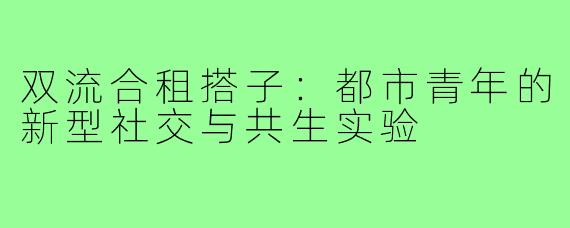 双流合租搭子：都市青年的新型社交与共生实验