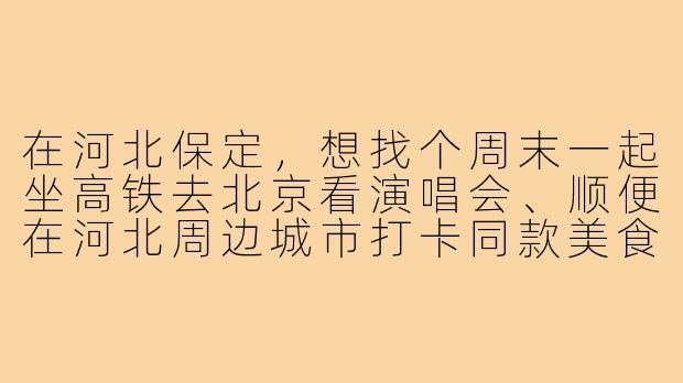 在河北保定，想找个周末一起坐高铁去北京看演唱会、顺便在河北周边城市打卡同款美食的追星搭子，但怕遇到不靠谱的人，该怎么筛选和约定规则？-同城追星搭子河北