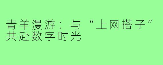青羊漫游：与“上网搭子”共赴数字时光