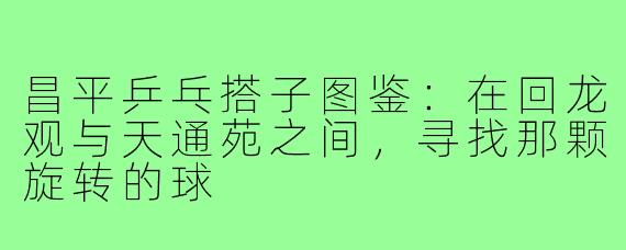 昌平乒乓搭子图鉴：在回龙观与天通苑之间，寻找那颗旋转的球
