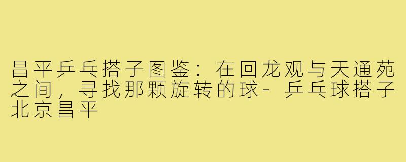 昌平乒乓搭子图鉴：在回龙观与天通苑之间，寻找那颗旋转的球-乒乓球搭子北京昌平