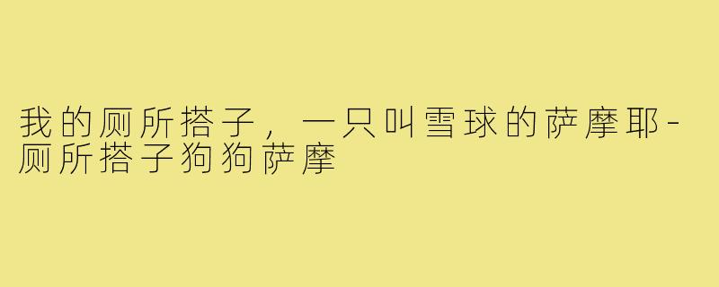 我的厕所搭子，一只叫雪球的萨摩耶-厕所搭子狗狗萨摩