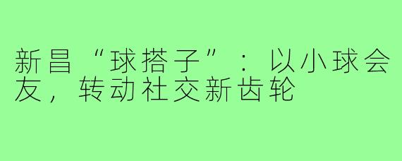 新昌“球搭子”：以小球会友，转动社交新齿轮