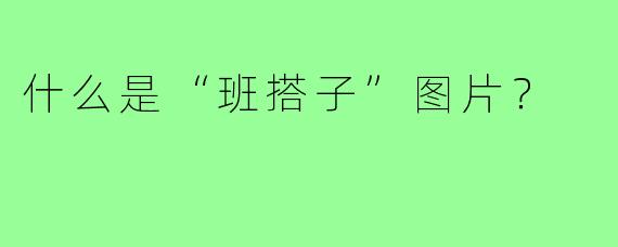 什么是“班搭子”图片？