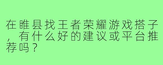在睢县找王者荣耀游戏搭子，有什么好的建议或平台推荐吗？
