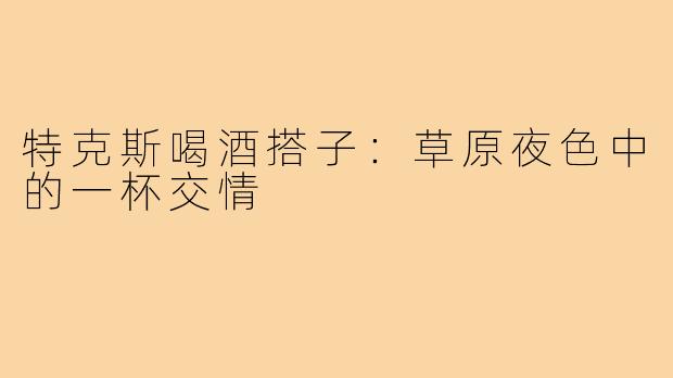 特克斯喝酒搭子:草原夜色中的一杯交情