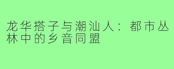 龙华搭子与潮汕人：都市丛林中的乡音同盟