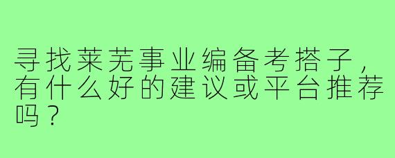 寻找莱芜事业编备考搭子，有什么好的建议或平台推荐吗？