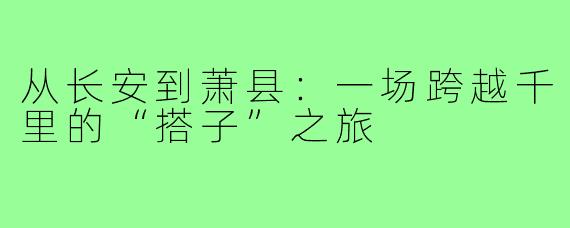 从长安到萧县：一场跨越千里的“搭子”之旅