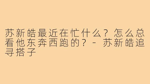 苏新皓最近在忙什么？怎么总看他东奔西跑的？-苏新皓追寻搭子