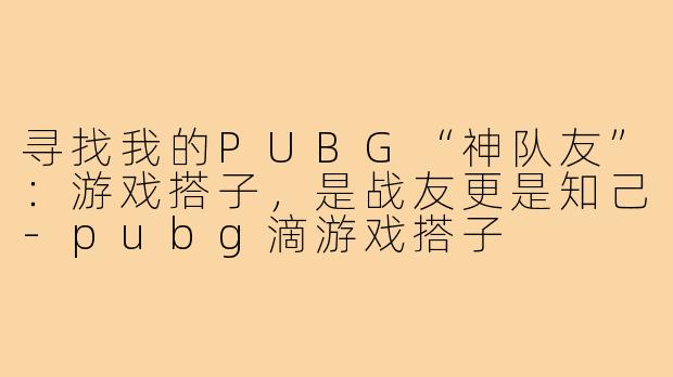 寻找我的PUBG“神队友”：游戏搭子，是战友更是知己-pubg滴游戏搭子