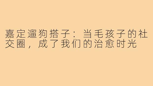 嘉定遛狗搭子:当毛孩子的社交圈,成了我们的治愈时光
