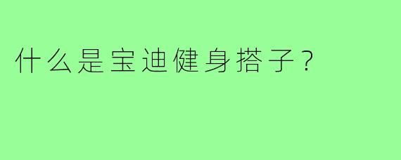 什么是宝迪健身搭子？