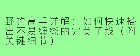 野钓高手详解：如何快速搭出不易缠绕的完美子线（附关键细节）