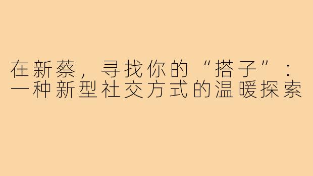 在新蔡，寻找你的“搭子”：一种新型社交方式的温暖探索