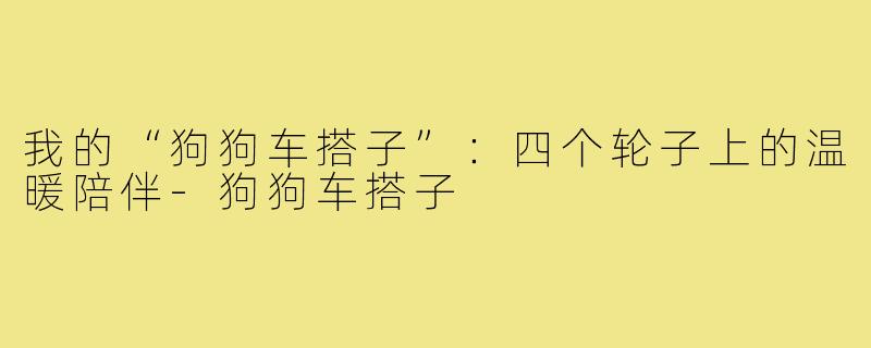 我的“狗狗车搭子”：四个轮子上的温暖陪伴-狗狗车搭子