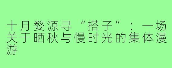 十月婺源寻“搭子”：一场关于晒秋与慢时光的集体漫游