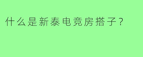 什么是新泰电竞房搭子？