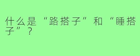什么是“路搭子”和“睡搭子”？