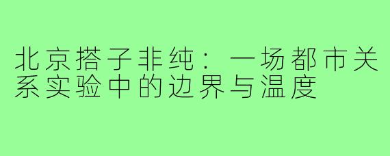 北京搭子非纯：一场都市关系实验中的边界与温度