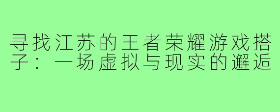 寻找江苏的王者荣耀游戏搭子：一场虚拟与现实的邂逅
