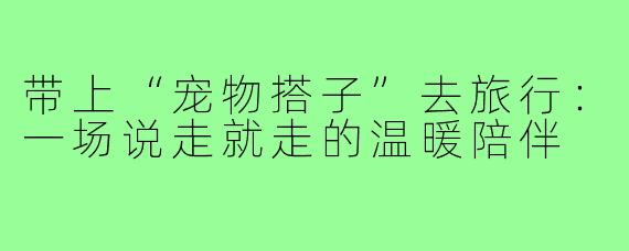 带上“宠物搭子”去旅行：一场说走就走的温暖陪伴
