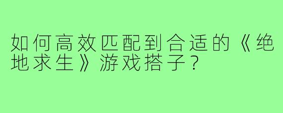 如何高效匹配到合适的《绝地求生》游戏搭子？