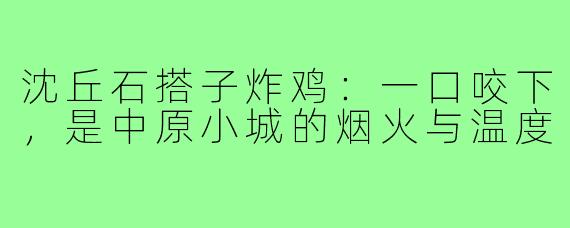 沈丘石搭子炸鸡：一口咬下，是中原小城的烟火与温度
